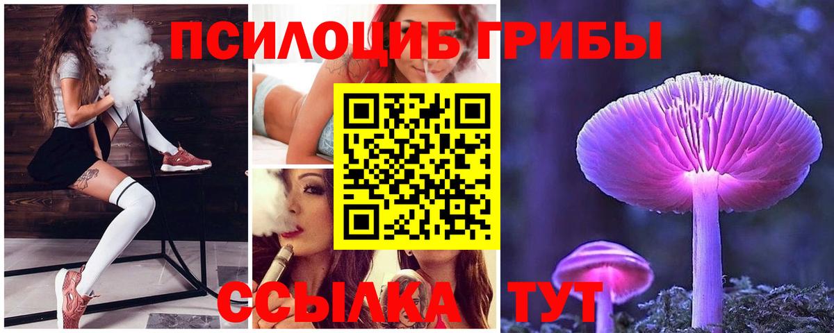 Еманжелинск  Псилоцибиновые грибы GOLDEN TEACHER  Псилоцибиновые грибы Psilocybine cubensis  Вход с VPN 